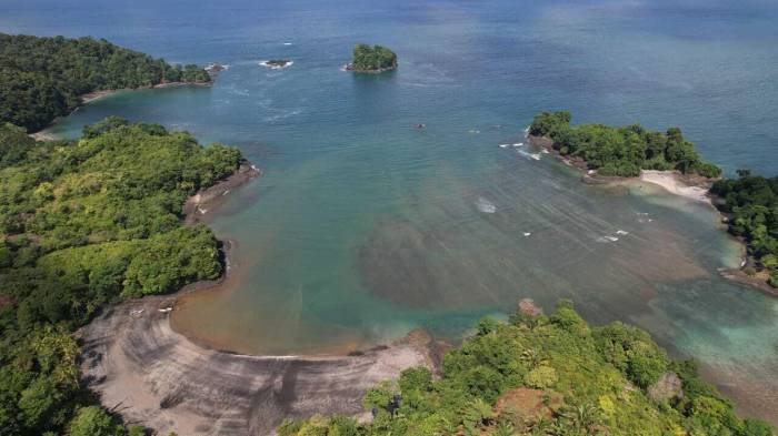 El operativo forma parte de un operativo en curso que busca evaluar el estado de los ecosistemas marinos y costeros.