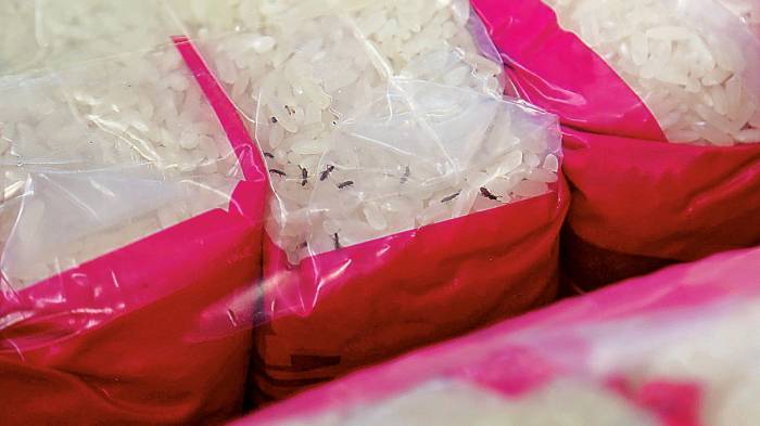 Contrabando de arroz pone en alerta a consumidores