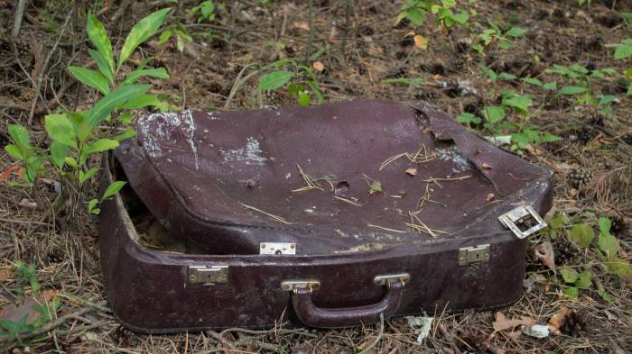 El sospechoso es adicto al póker y se ganaba la vida como guardia de seguridad temporal.