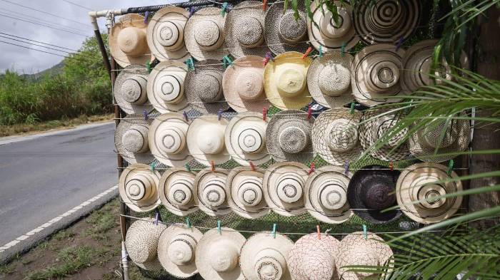 Festival del Sombrero Pintao cierra con éxito: artesanos panameños brillan con orgullo