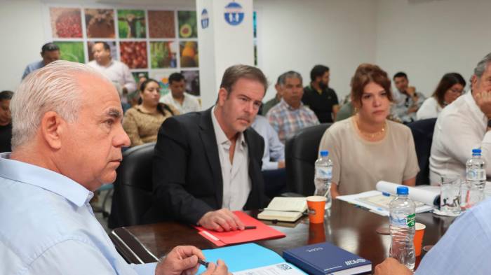 Productores afirman que hay desabastecimiento, por lo que recomendaron la liberación de los contenedores.