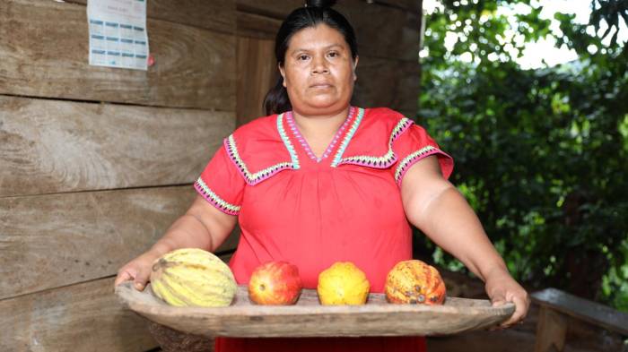 El cacao que cambió la vida de Aleida: una historia de esfuerzo y sabor