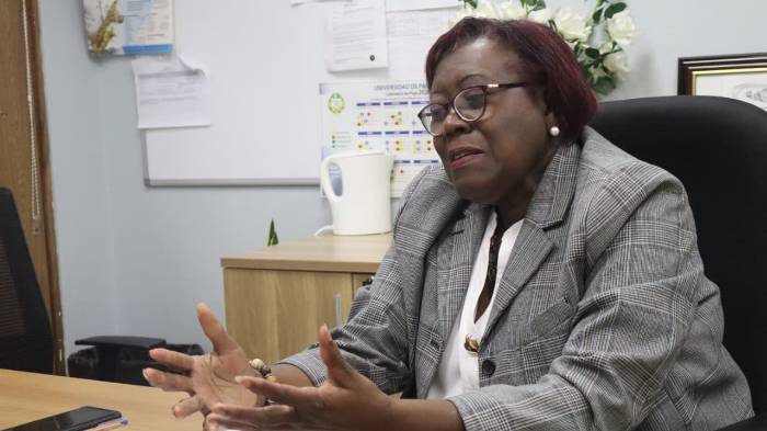 La profesora Yolanda González, decana de Enfermería de la UP.