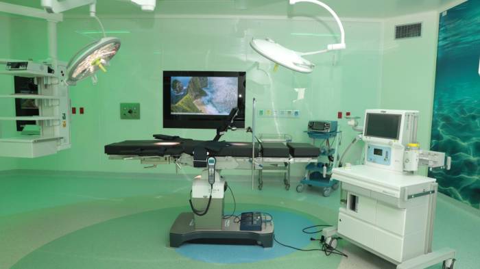 Mulino pidió integrar los servicios del Minsa y la CSS para evitar la duplicidad y garantizar una atención médica unificada en la región.