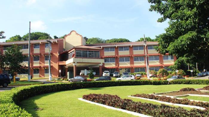 La Universidad Tecnológica de Panamá acude hoy a las urnas para elegir a su nueva rectora.