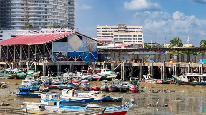 Panamá ratifica acuerdo mundial contra la pesca ilegal
