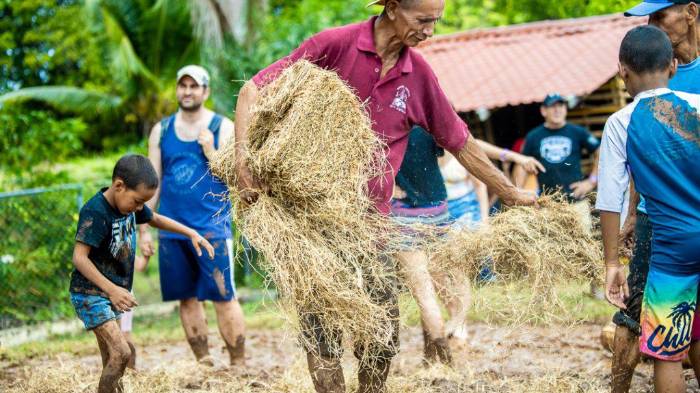 Hay que resaltar que el el proyecto incluye la creación de semilleros de árboles maderables necesarios para la estructura.