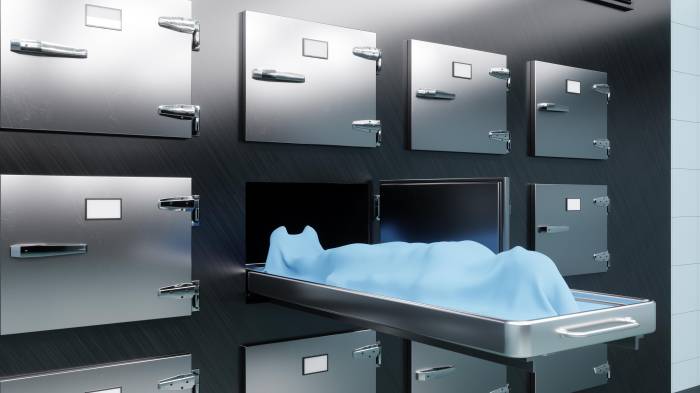 Este caso ha generado controversia en Italia, por la duración del encubrimiento y el posible fraude a la seguridad social. El pasado miércoles, se descubrió la trama.