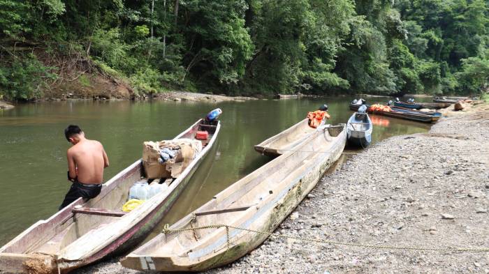 Campamento clandestino en Darién podría tener nexos con el Clan del Golfo