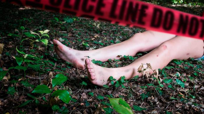 Ejecuciones, ataques armados, hallazgos macabros, víctimas desaparecidas, fueron algunos casos