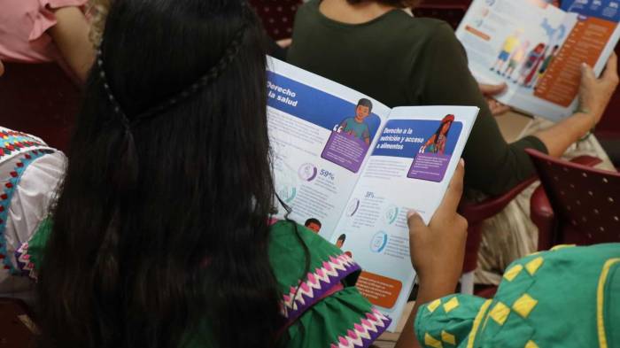 El informe fue elaborado con el acompañamiento de la Coordinadora Nacional de Mujeres Indígenas de Panamá y el apoyo técnico de UNICEF.