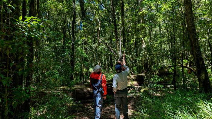 El Volcán Barú celebra medio siglo como parque nacional