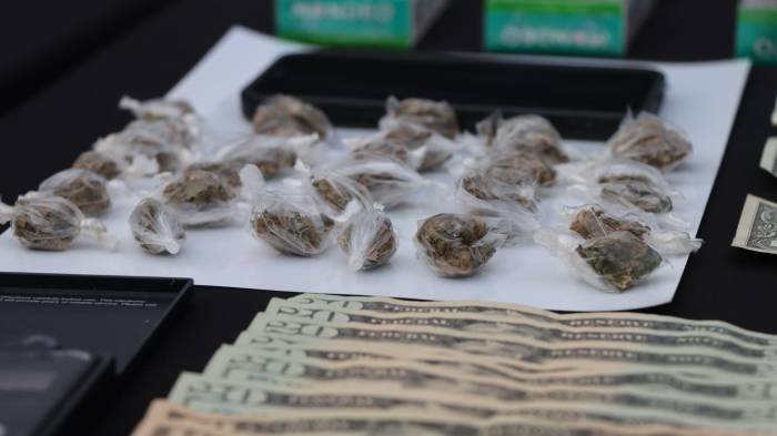 Durante las diligencias realizadas se incautó una cantidad considerablemente alta de sustancias ilícitas.