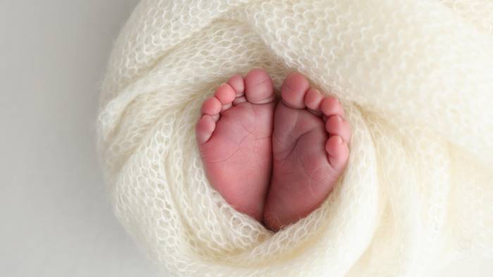 Según las autoridades, la familia colaboró plenamente durante las inverstigaciones.