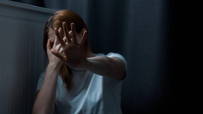 En lo que va de 2025 se han reportado 11,883 casos de violencia doméstica a nivel nacional.