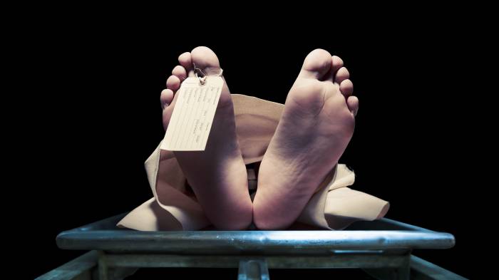 En octubre se reportó un homicidio en el distrito de Chepo, la muerte de Merejildo Pérez