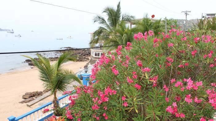 Taboga es conocida como la Isla de las Flores.