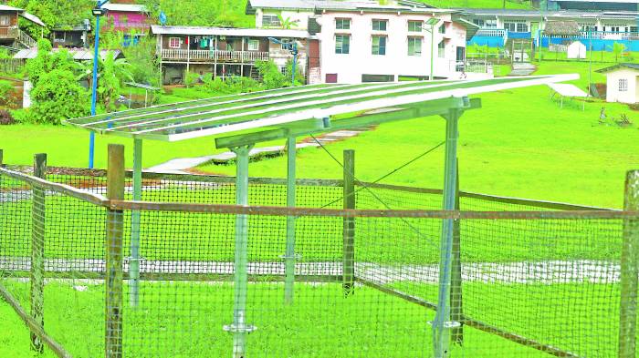 Los paneles solares comparten espacio con las flores de los jardines.