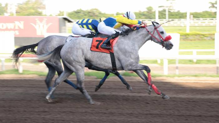 ‘Signature Dame’ gana el Clásico Día de la Madre