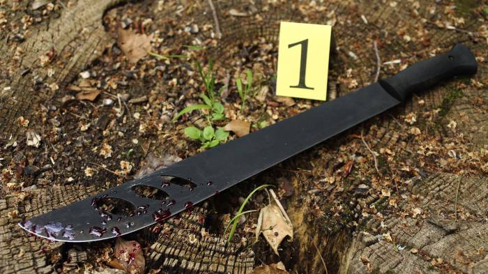 Los investigadores presentaron las pruebas y el agresor confesó su culpabilidad.