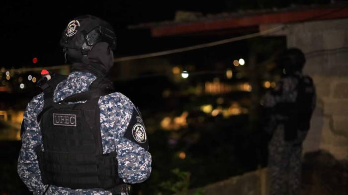 La Policía y la Fiscalía continúan tras la pista de otros implicados.