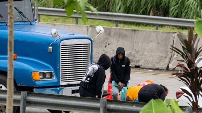 Panamá Norte | Asaltan camión y hasta ‘firulais’ participó