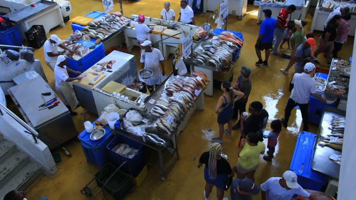 Roberto Barrios- El Siglo