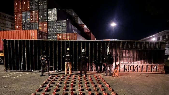 Los 750 paquetes estaban dentro de dos contenedores en el Puerto de Balboa con destino a Portugal.