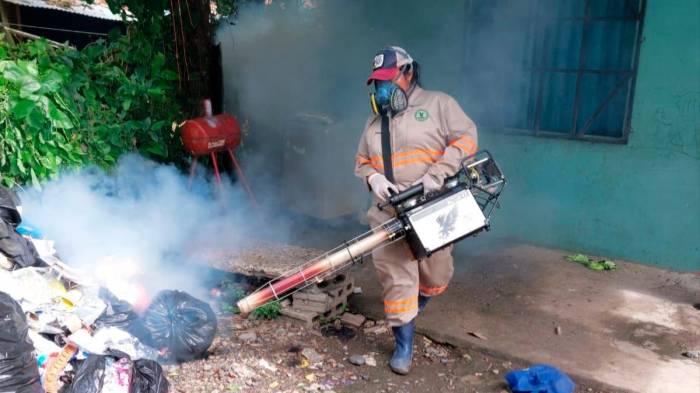 Minsa pide eliminar los criaderos de mosquitos.