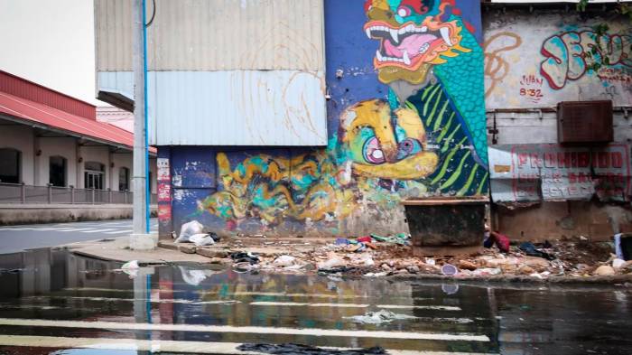 Paso peatonal cerrado por desperdicios y agua estancada