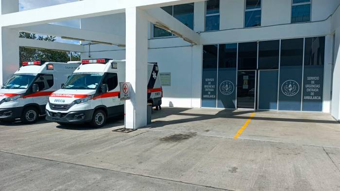 Agonizó cuatro meses en hospital