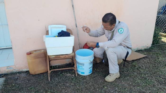 La fiebre Oropouche es una enfermedad viral transmitida por la picadura de mosquitos del género Culicoides y Culex, conocidos popularmente como “jejenes”.