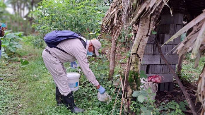 Minsa pide a la población la eliminación de criaderos de mosquitos.