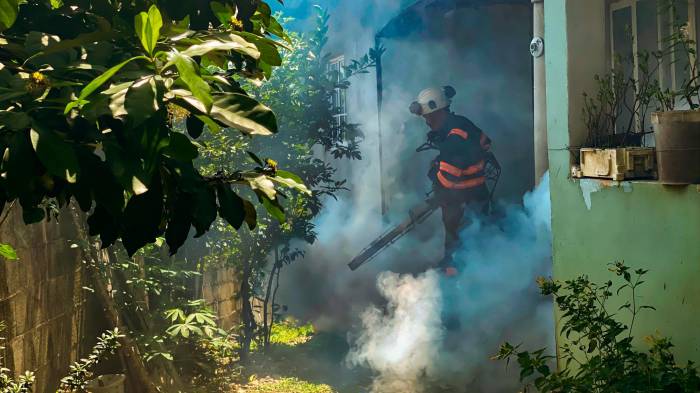 El Minsa hace un llamado a la población a eliminar los criaderos de mosquitos.