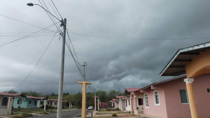 Ocurrió en Coclé: Crueldad animal en su máxima expresión