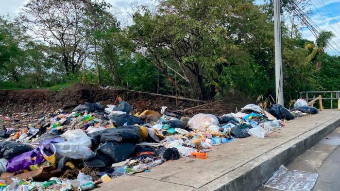 Pataconcitos agravan la contaminación en el este