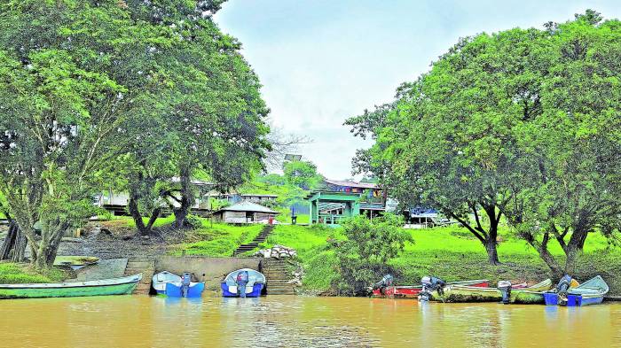 El parque cuenta con su propio sistema de energía.