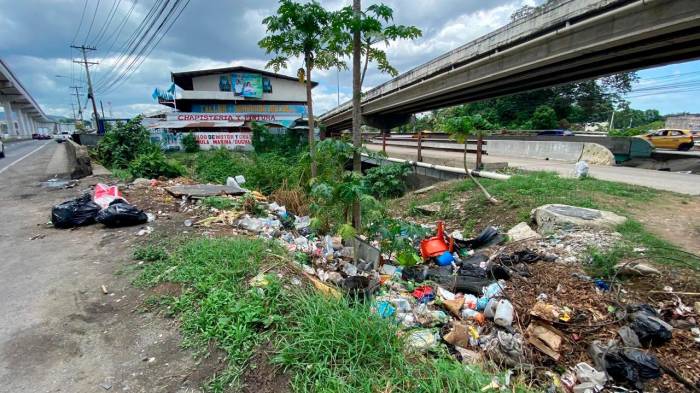 Pataconcitos agravan la contaminación en el este