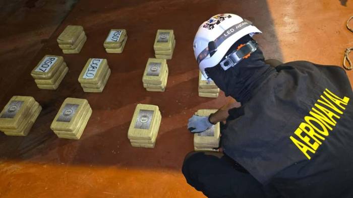 La presunta droga estaba oculta en los paneles de refrigeración de un contenedor en tránsito por Panamá con destino final a Poti, Georgia.