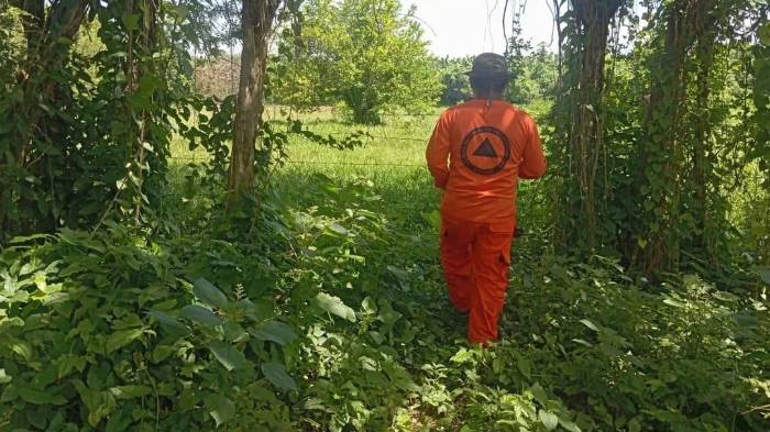 Sinaproc trabaja en la búsqueda.