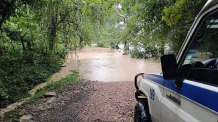 Fuertes lluvias causan inundaciones y caídas de árboles