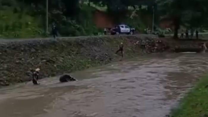 Momentos en que intentaban sacar los cuerpos de dentro del carro tipo camioneta.