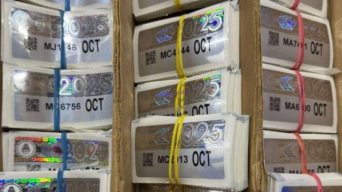 El Municipio de Panamá habilitó centros de entrega para las placas y calcomanías de octubre de 2025.