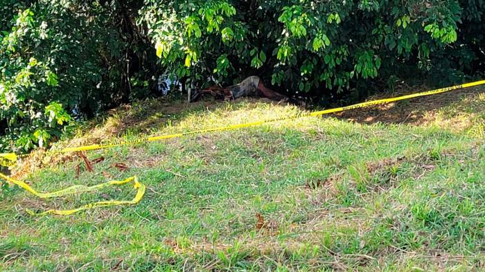 Enero sangriento en Colón:Asesinaron a 13 personas