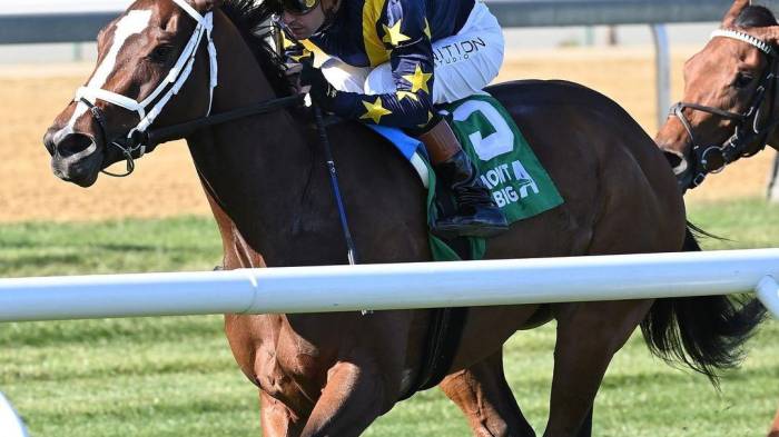 Sáez se desató en Keeneland, coló tres ganadores