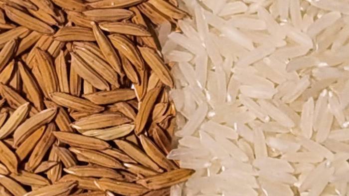 Decomisan 600 quintales de semilla de arroz de contrabando en Chiriquí