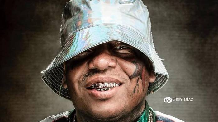 Redes Sociales/@greydiazstudio