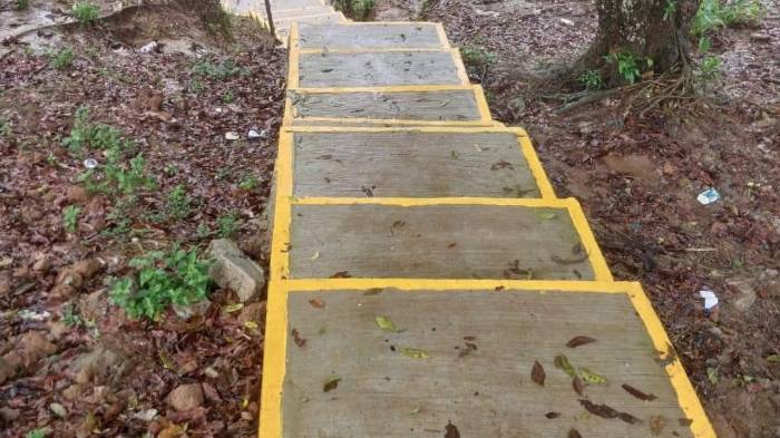 Mejoramiento del muelle comunitario de Vista Alegre.