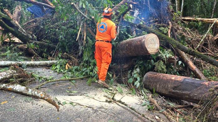También se desarrollan labores de mitigación en la quebrada del sector.