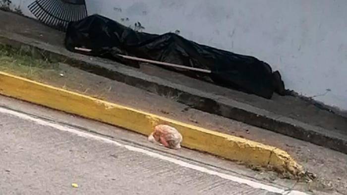 Entrega especial de El Siglo: Septiembre se tiñó de sangre